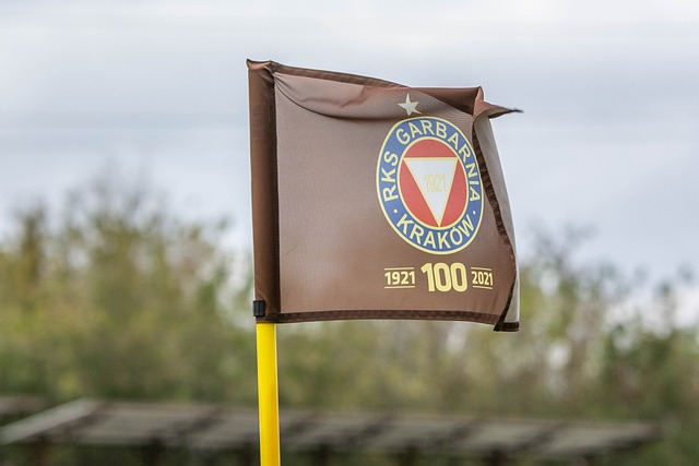 合的胜利 合的胜利