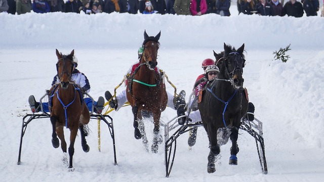 关键球员的 关键球员的