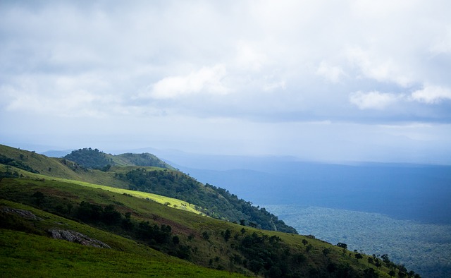 比赛节奏掌 比赛节奏掌