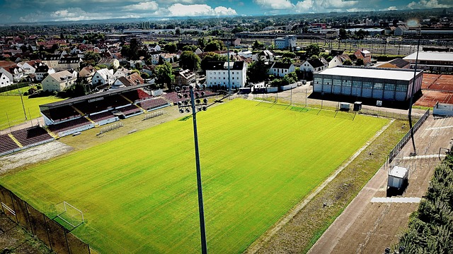 了他的天赋 了他的天赋