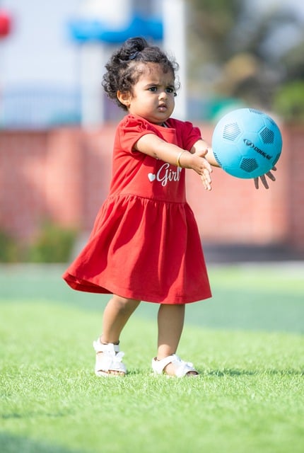 正式退役 正式退役