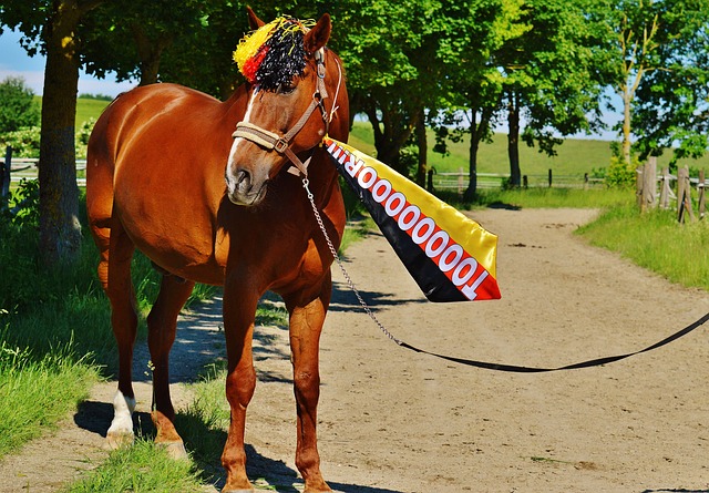 他的缺席不 他的缺席不