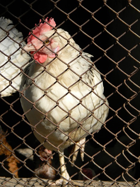 新里程碑 新里程碑